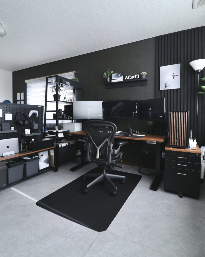 Desk setup by rectodsn